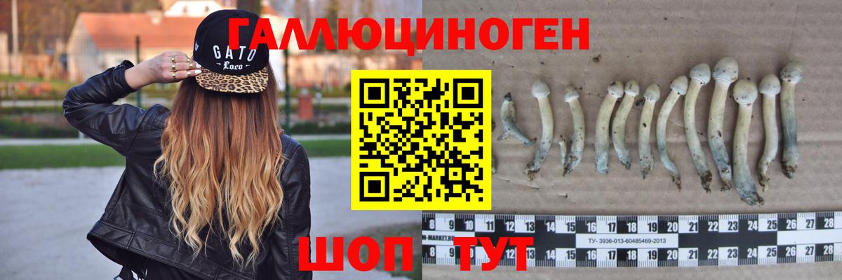 Псилоцибиновые грибы GOLDEN TEACHER  Галлюциногенные грибы прущие грибы  Железноводск  Вход с VPN 